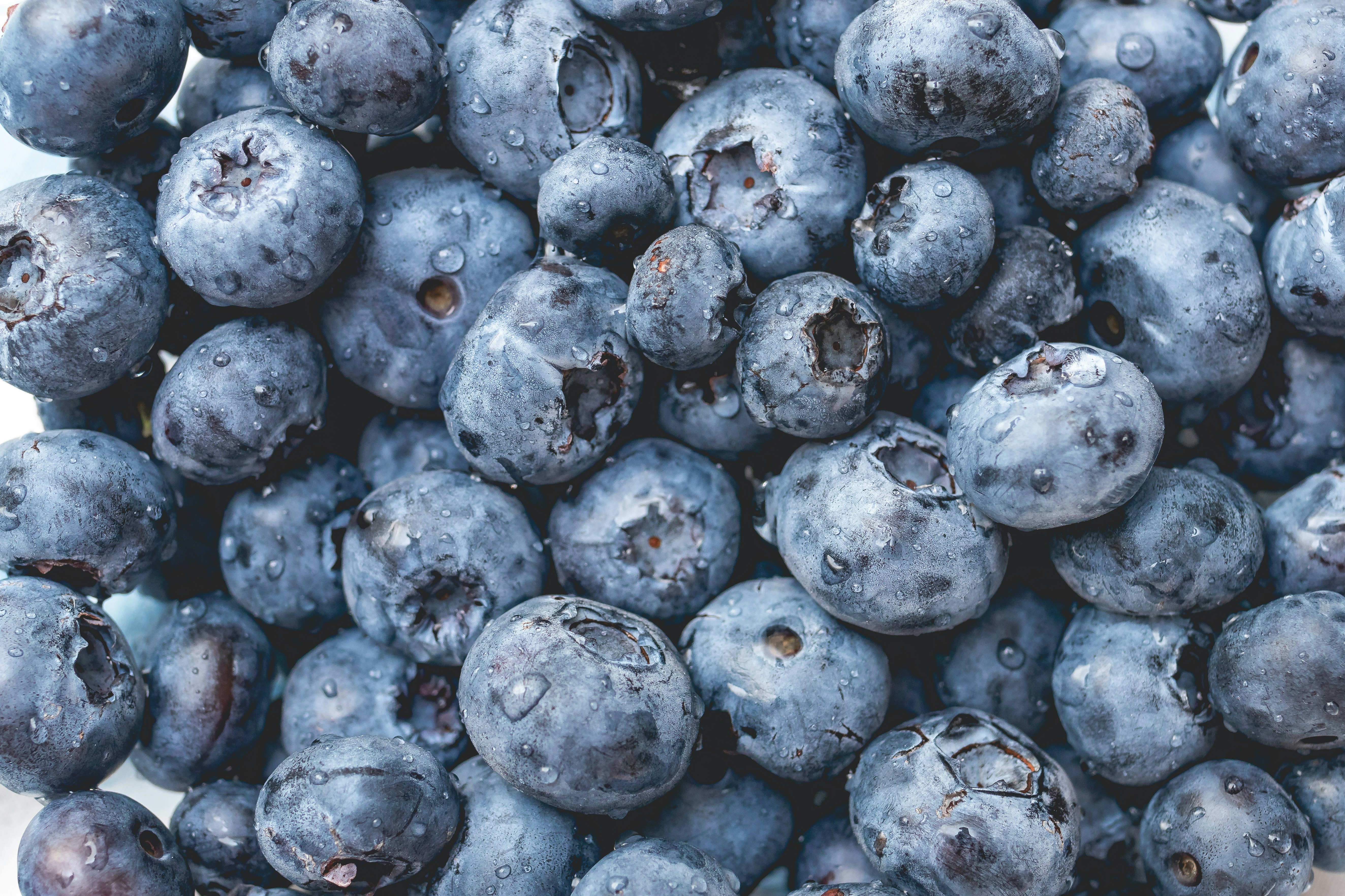 black berries in close up photography